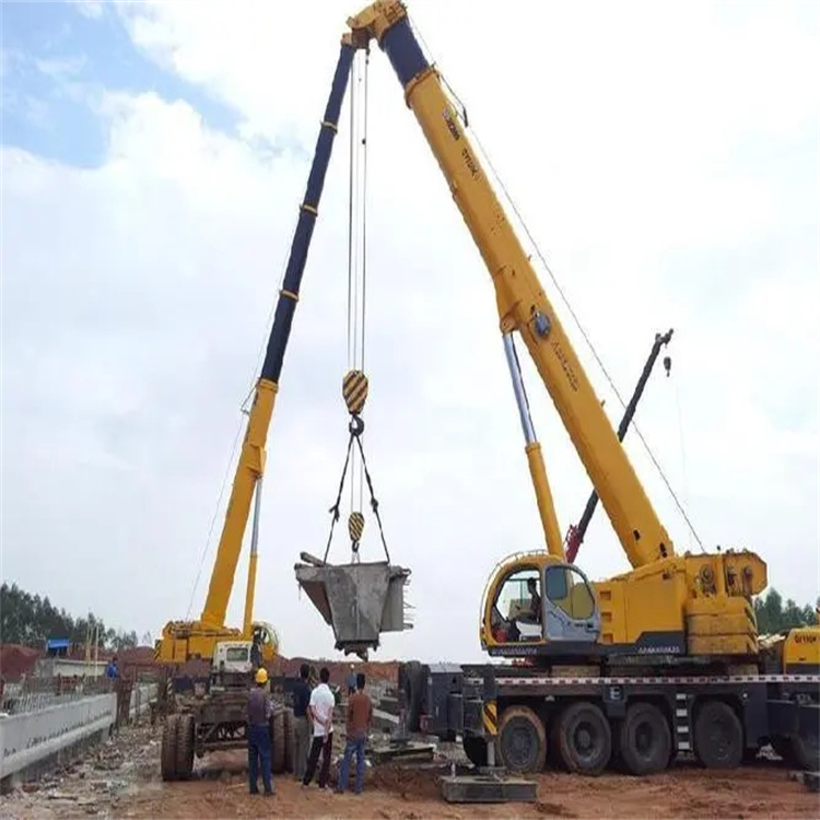 崖州小型吊机出租电话|厂房设备吊装方案|24小时服务覆盖